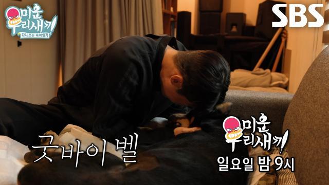 미운 우리 새끼