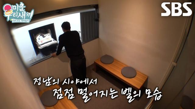 미운 우리 새끼