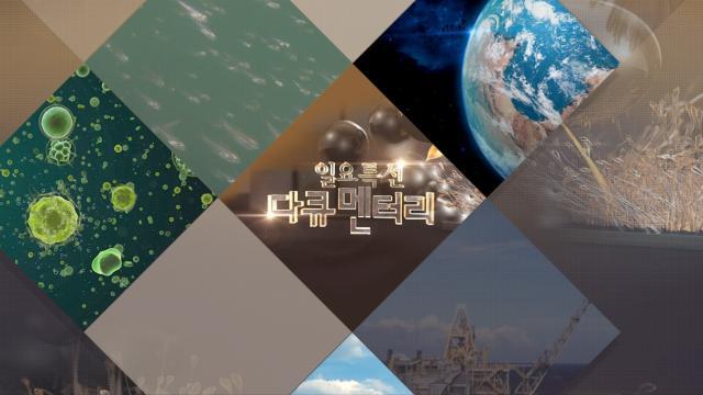 일요 특선 다큐멘터리
