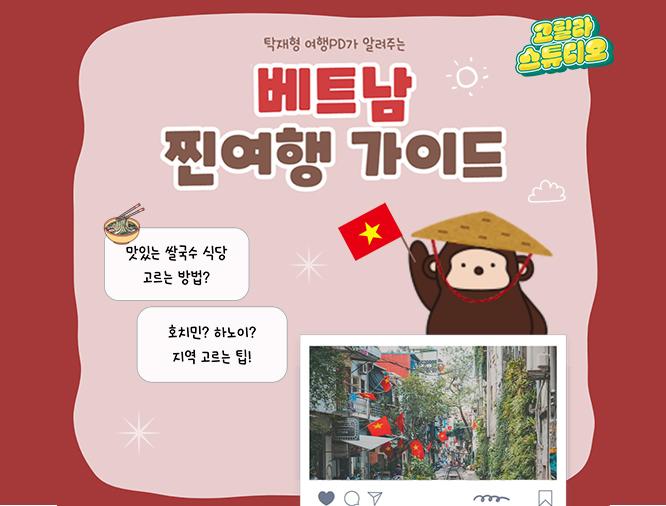 [고릴라 스튜디오] 베트남 여행 어디로 갈까? 지역별 매력 총정리 🇻🇳 (feat. 탁재형 여행 PD)