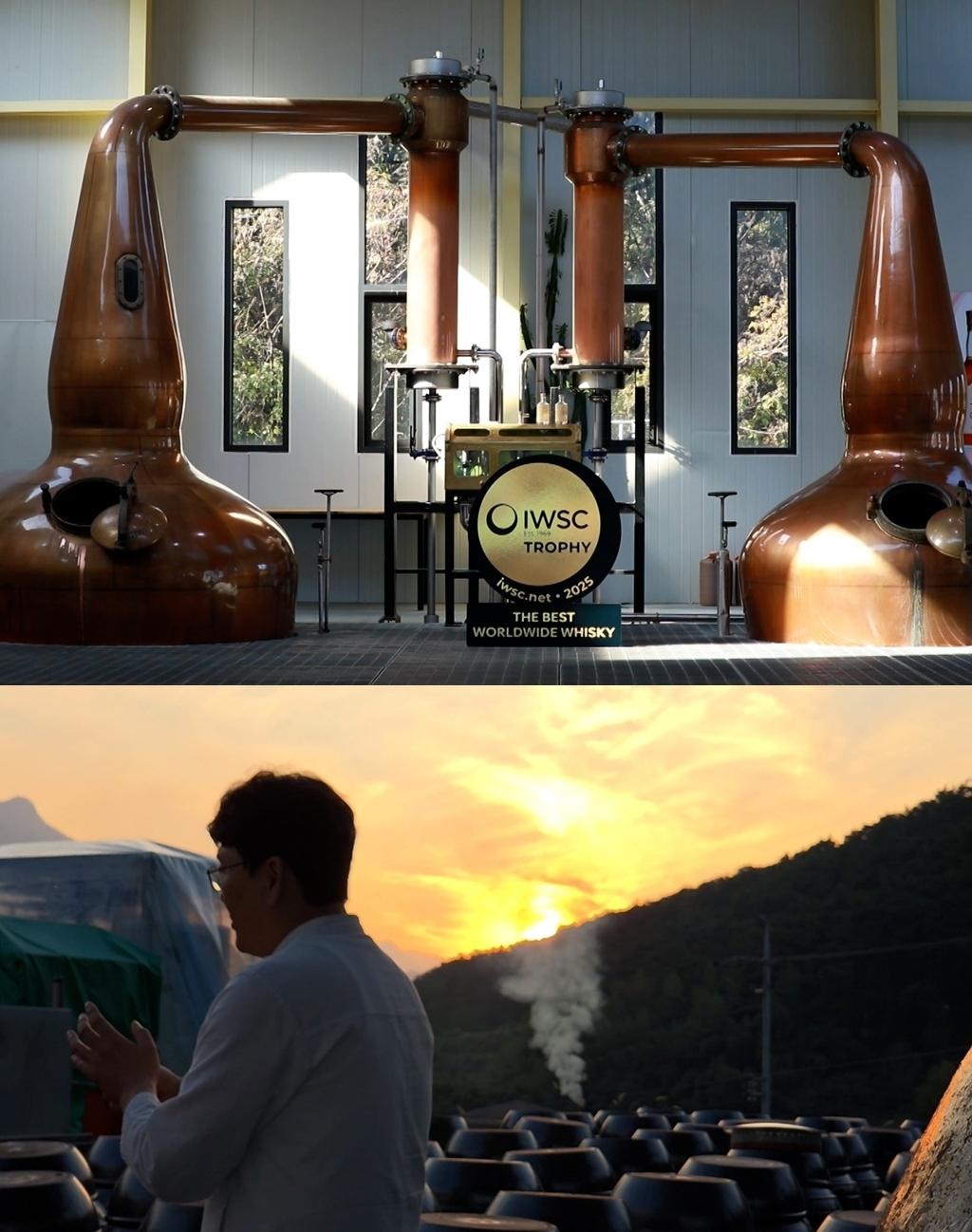 [SBS 뉴스토리] K-술이란 무엇인가, 한국을 대표할 K-술에 대해 알아본다! 