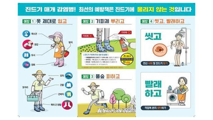 쑥 캐러 다녀온 뒤 "어지러워"…경북서 올해 첫 사망자 발생