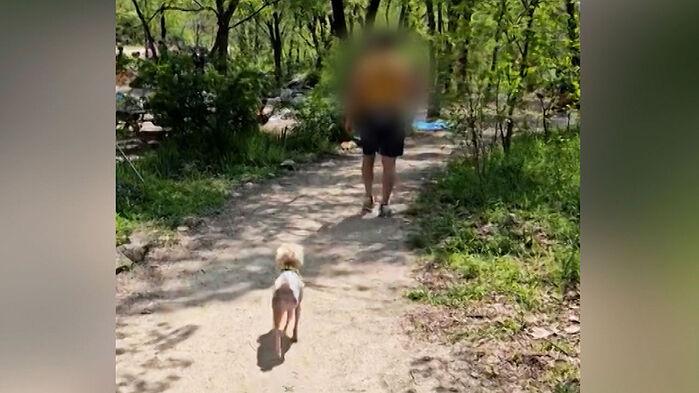 "목줄 채워달라" 견주 반응 '충격'…얼굴 들이밀더니