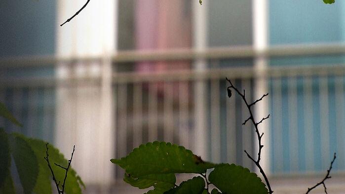 "불 붙이겠다" 아내 몸에 '콸콸'…대낮 협박한 남편 결국