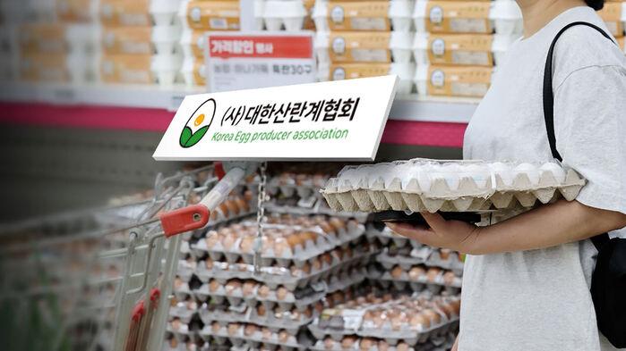 "눈에 딱 띄게 뛰더니" 8천 원 육박…규제 탓? 담합 탓?