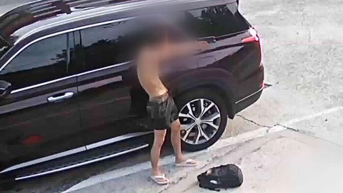 "말도 못 하는데, 악랄"…'비비탄 난사' 탄원 3만 돌파