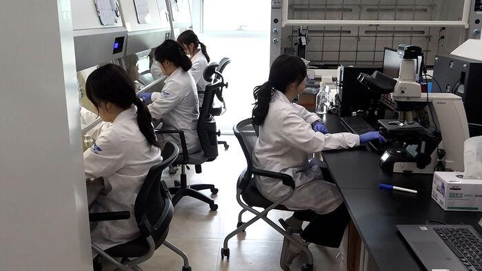 기술 개발 성공하고도 생산 포기…"시장 안착 도와야"