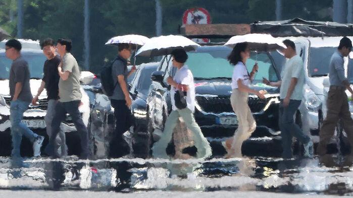 "떼로 몰려와" 발밑 우글우글…극한 기후에 서울도 발칵