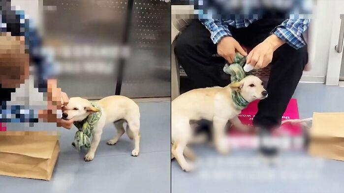 질질 끌고와 온몸 '벅벅'…"제보해달라" 지하철서 경악