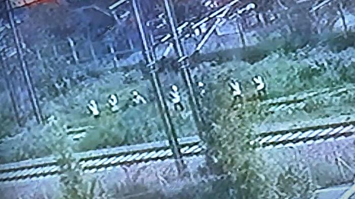 "피할 공간도 없었다"…7명 덮친 열차 사고 CCTV 보니