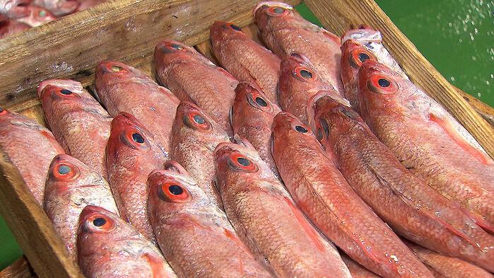 속여 팔다 딱 걸렸다…"4배나 더 비싼데" 제주서 적발