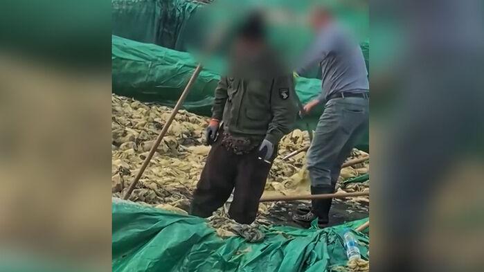 담배 물고 침까지 '퉤'…"먹는 음식인데" 충격 영상