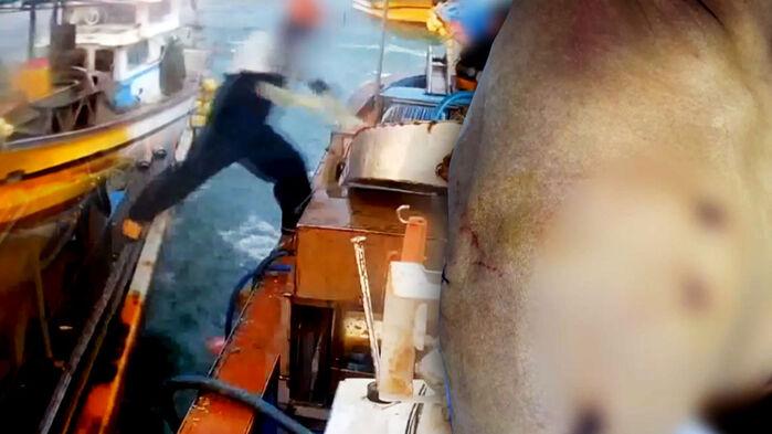 "어디서 왔어" 침 뱉고 찰싹…"배 째라식" 뻔뻔한 속내