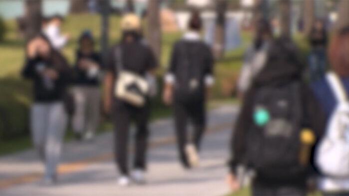 600명 시험서 줄줄이 '0점'…교수 공지에 발칵, 무슨 일