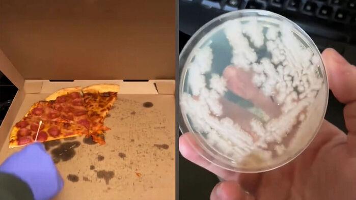 "냉장고에 안 넣을래" 뒀다가는…하루 만에 충격의 결과