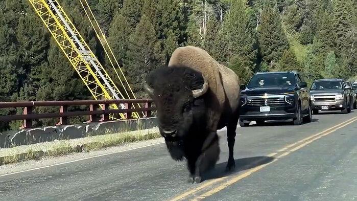 위험 경고 무시하고 갔다가…"빨리 피해" 뒤에서 덮쳤다