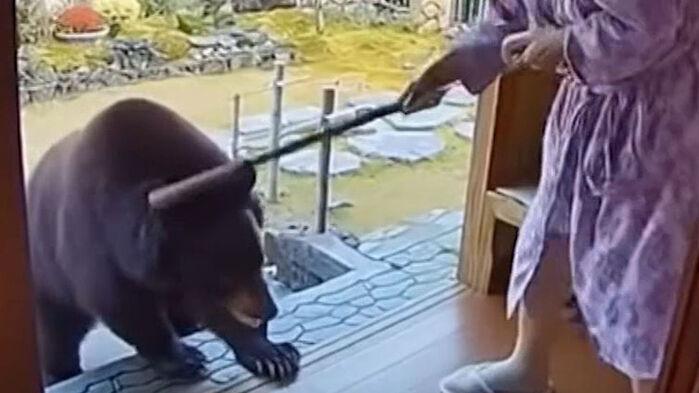 막대기로 곰 쫓는 할머니?…200명 당해도 유행처럼