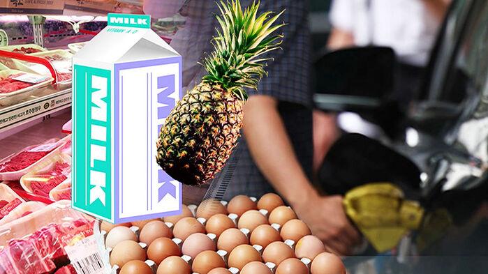 소비자물가 2.4% 상승…정부 "물가 안정에 총력 대응"