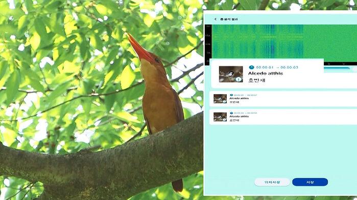 '이건 무슨 새야?'…울음 소리만 듣고 맞힌다