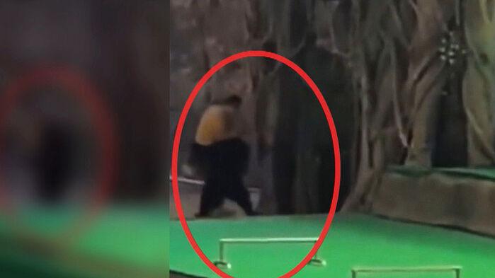 "냄새에 흥분" 공연 중 발칵…논란 키운 해명