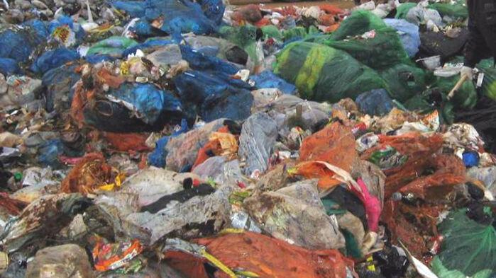 '무슨 냄새야?' 쏟아진 신고…연간 90억 챙긴 업체 반전