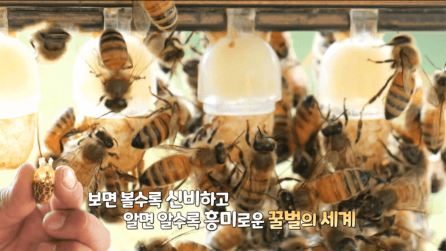 네트워크 현장! 고향이 보인다