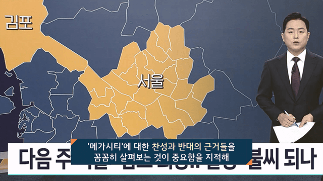 메가시티 관련 보도 점검