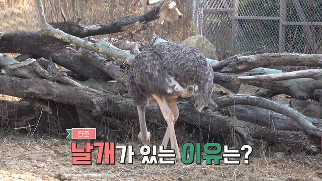 꾸러기 탐구생활