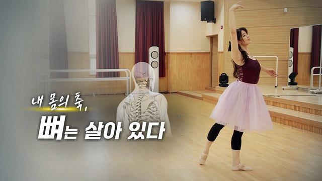 내 몸의 축, 뼈는 살아 있다