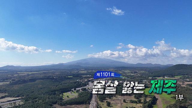 몸살 앓는 제주 1부
