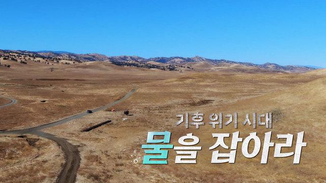 기후 위기 시대, 물을 잡아라
