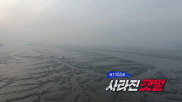 사라진 갯벌