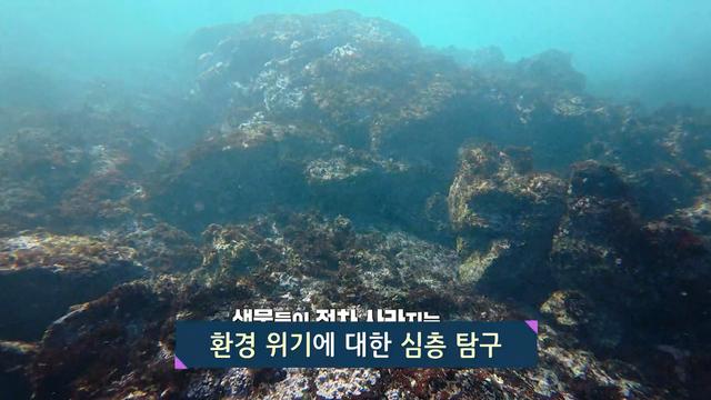 경제 관련 보도 점검