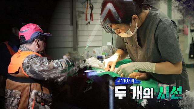  두 개의 시선