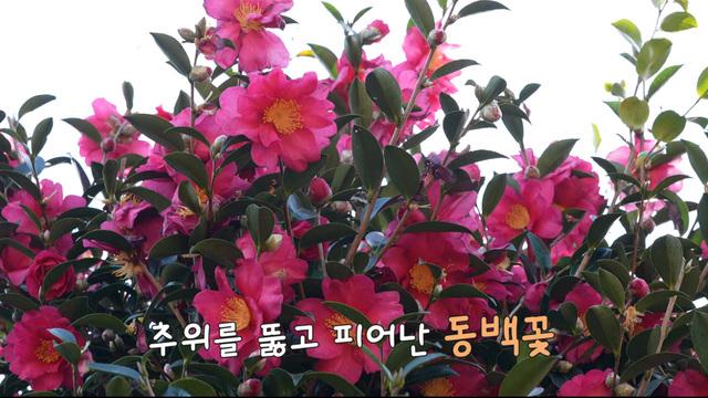 제주