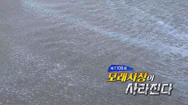  모래사장이 사라진다