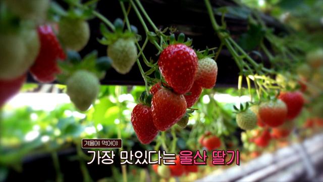 울산