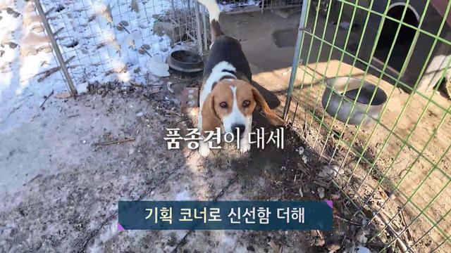 진화하는 다큐멘터리