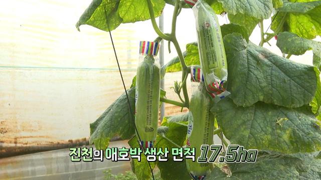 충북