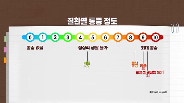  걸을 수 없는 고통 퇴행성 관절염