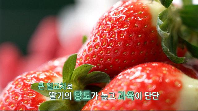 전북