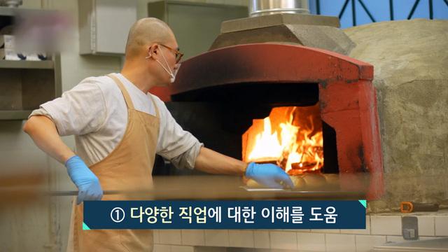 다양한 직업의 세계