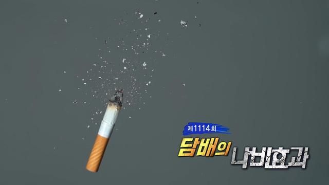 담배의 나비효과