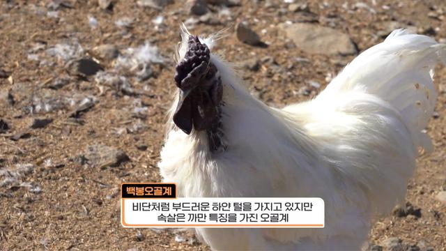 경남