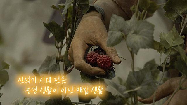 산성 탐구