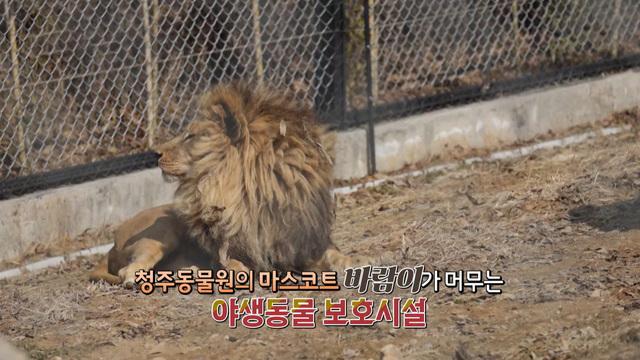 충북