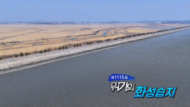 위기의 화성습지