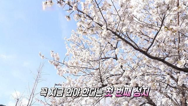알면 알수록 매력 넘치는 대전 여행