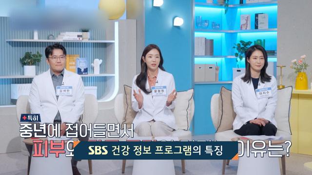 건강 정보 프로그램 점검