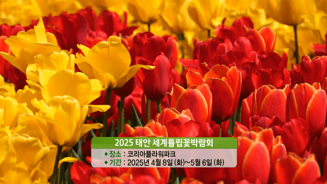 생방송 투데이